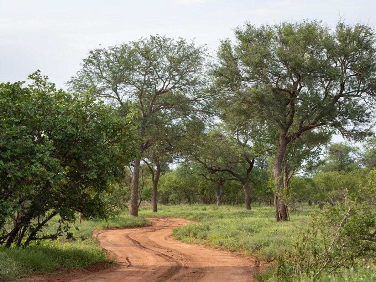 Ujabule Lodge Hoedspruit Esterno foto